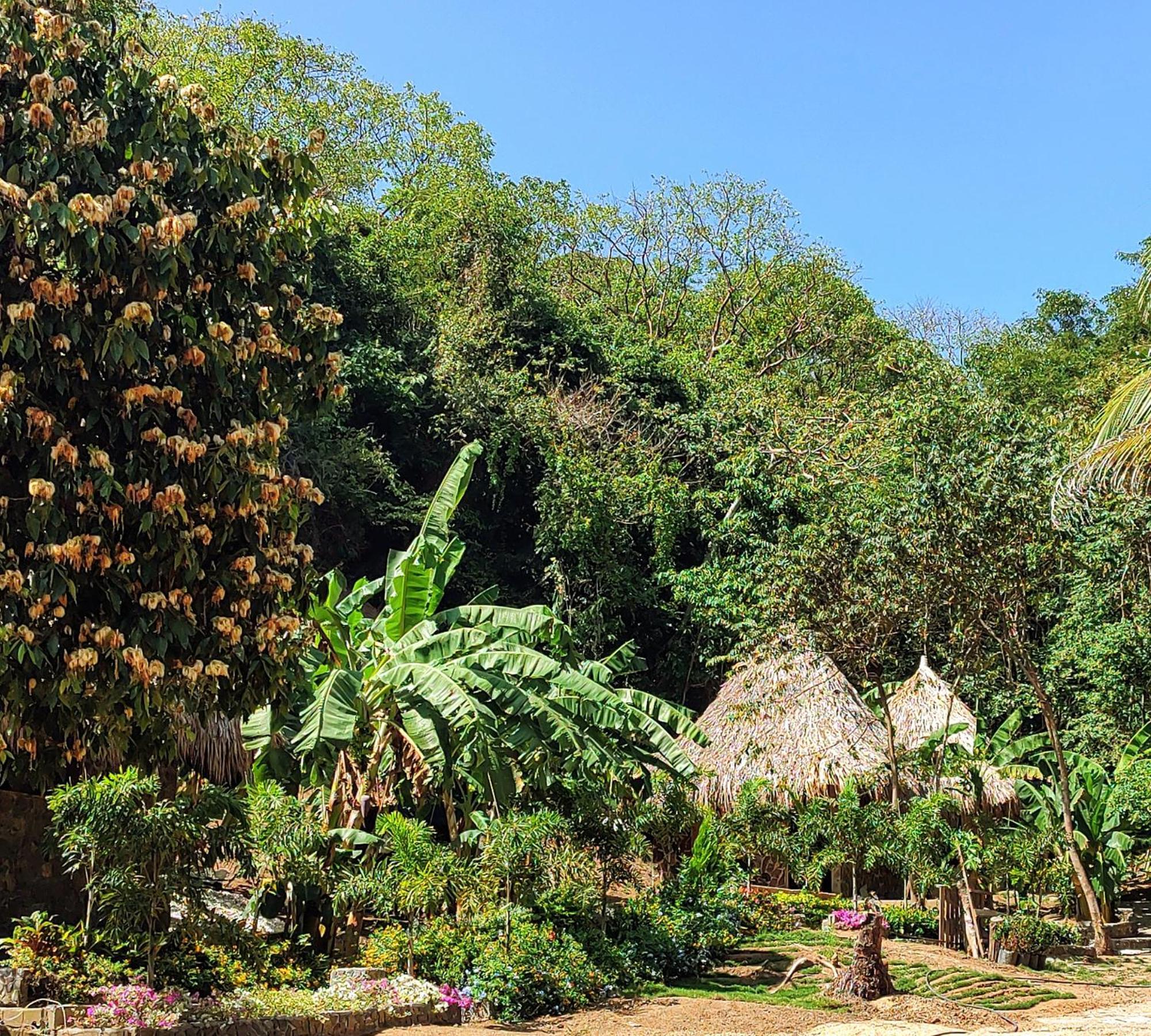 Bed and Breakfast Colibri Parque Tayrona Dentro Del Parque Nacional Tayrona El Zaino Exterior foto