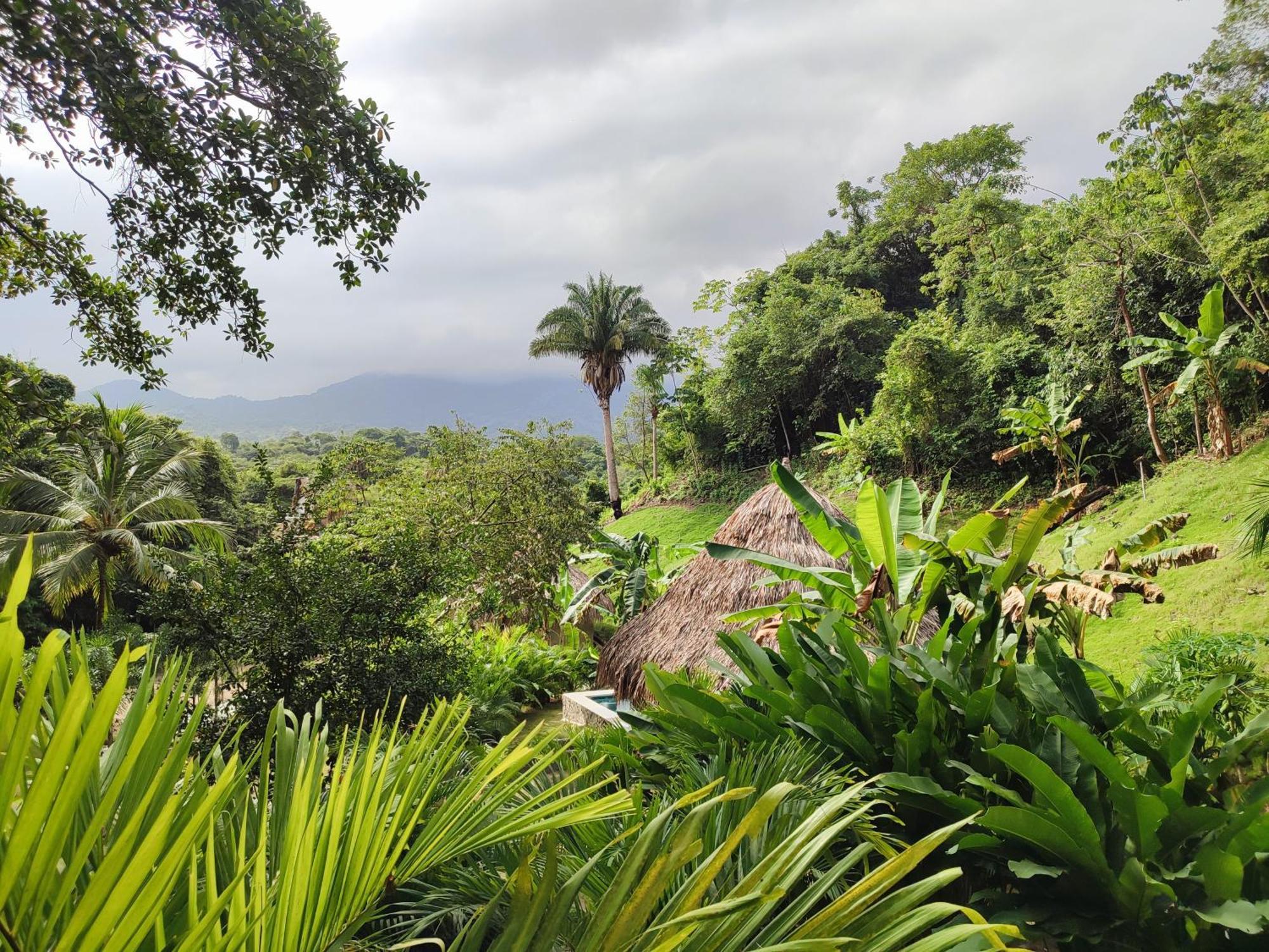 Bed and Breakfast Colibri Parque Tayrona Dentro Del Parque Nacional Tayrona El Zaino Exterior foto