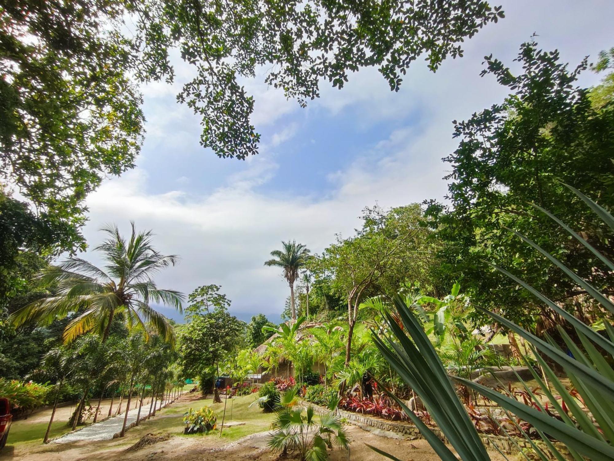 Bed and Breakfast Colibri Parque Tayrona Dentro Del Parque Nacional Tayrona El Zaino Exterior foto