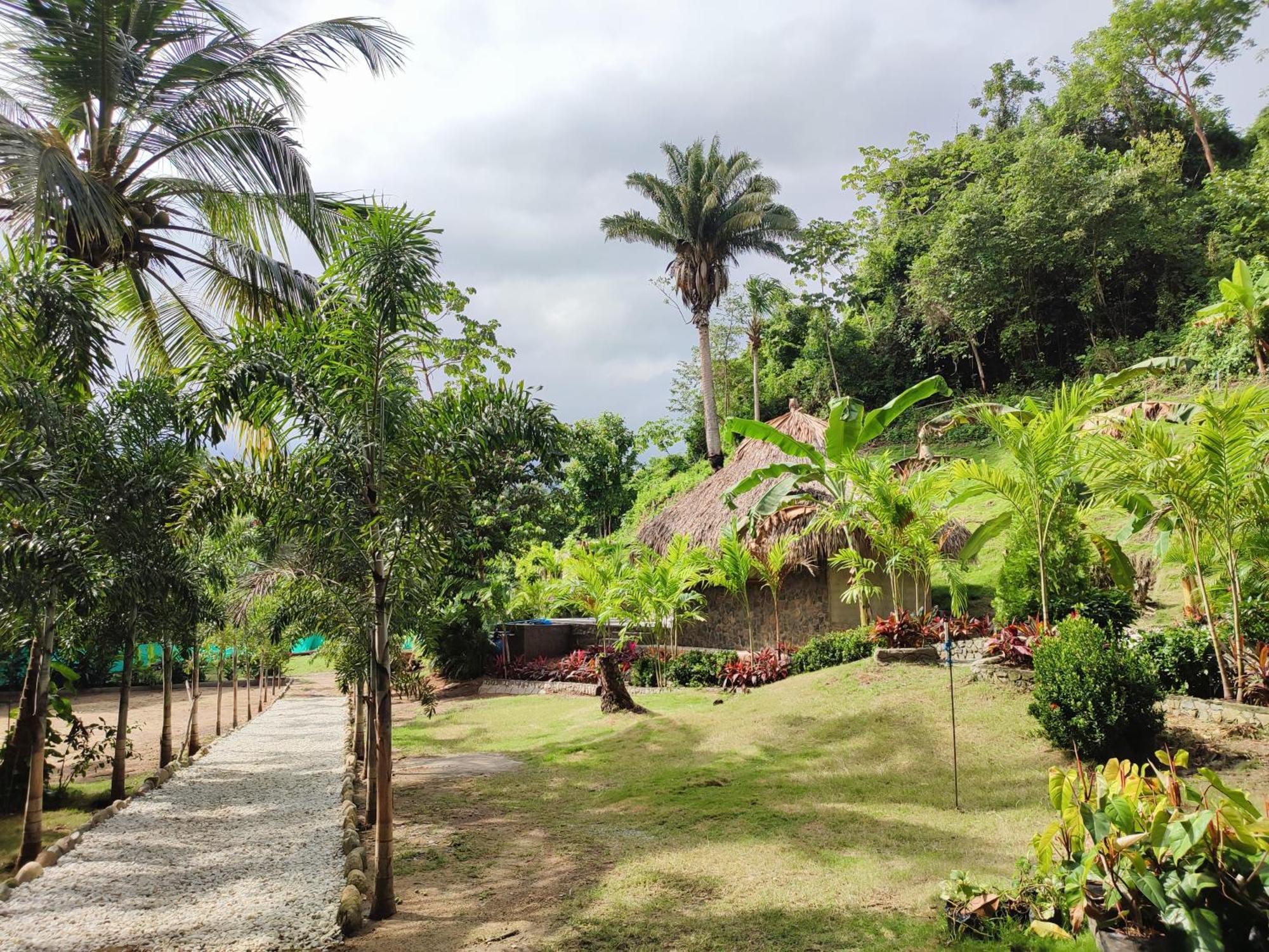 Bed and Breakfast Colibri Parque Tayrona Dentro Del Parque Nacional Tayrona El Zaino Exterior foto
