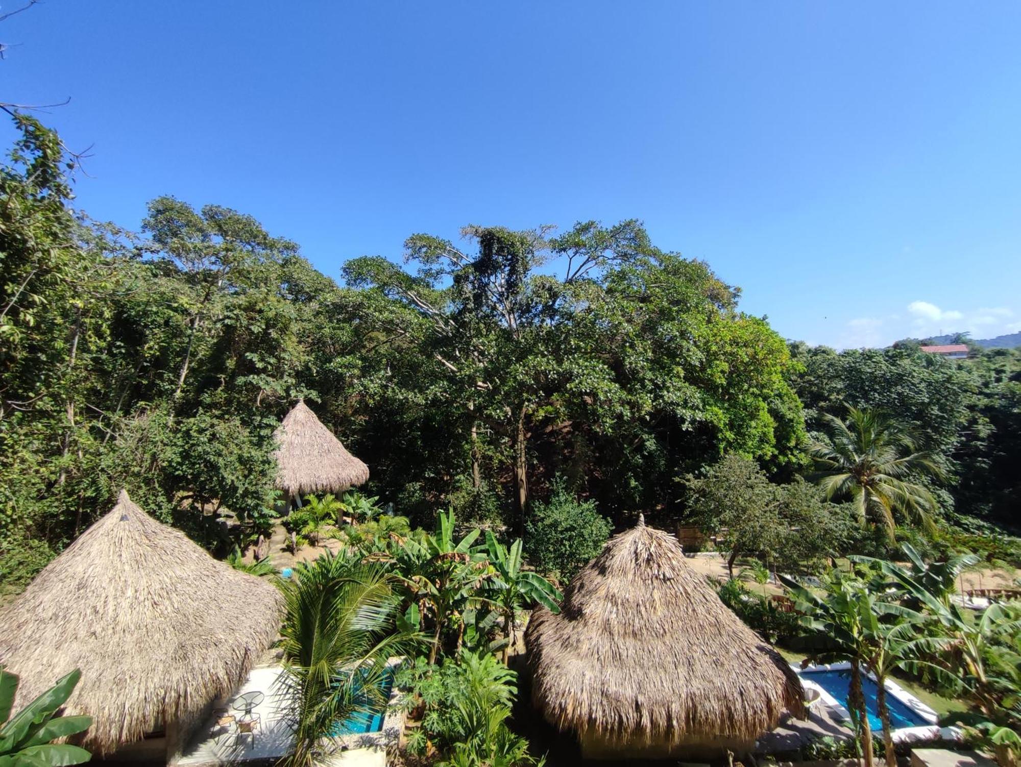 Bed and Breakfast Colibri Parque Tayrona Dentro Del Parque Nacional Tayrona El Zaino Exterior foto